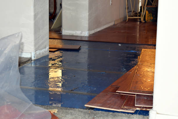 Professional Burst Pipe Cleanup technician working in Macedonia, IA